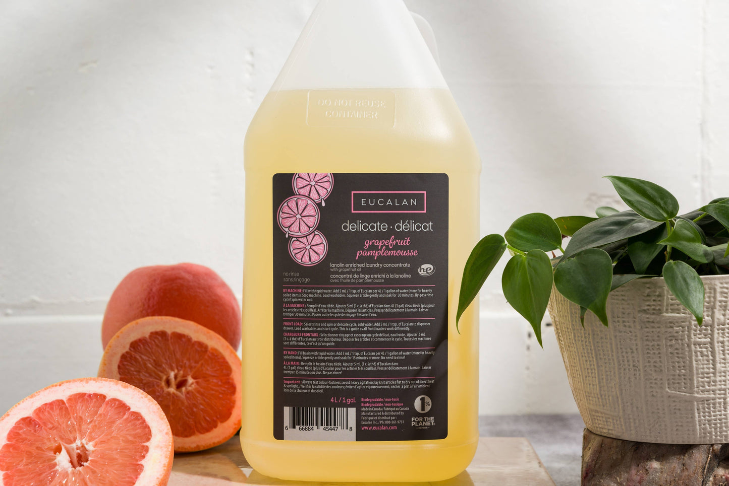 Jug of Delicate Wash Jug | 5 Scents