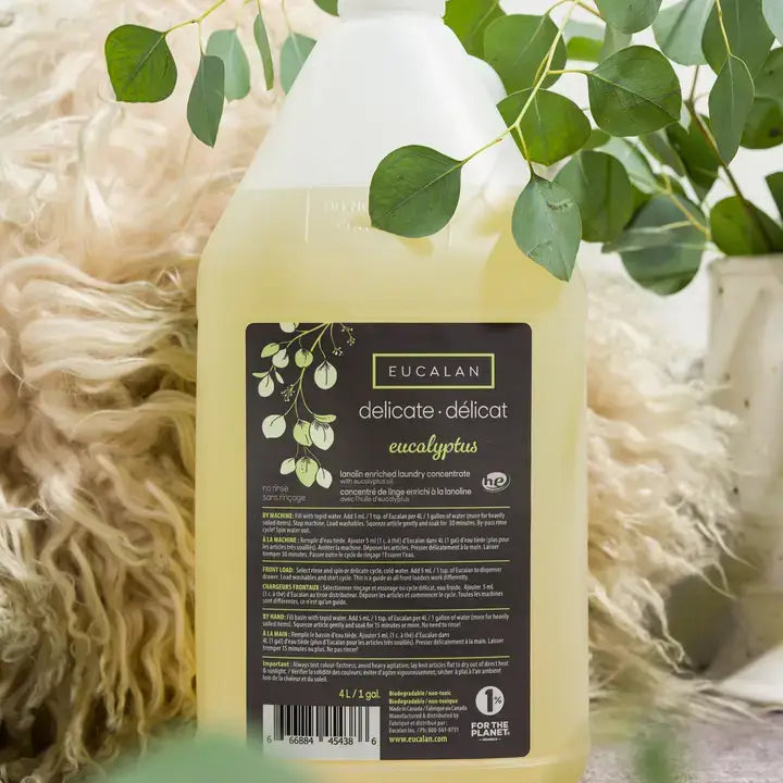 Jug of Delicate Wash Jug | 5 Scents