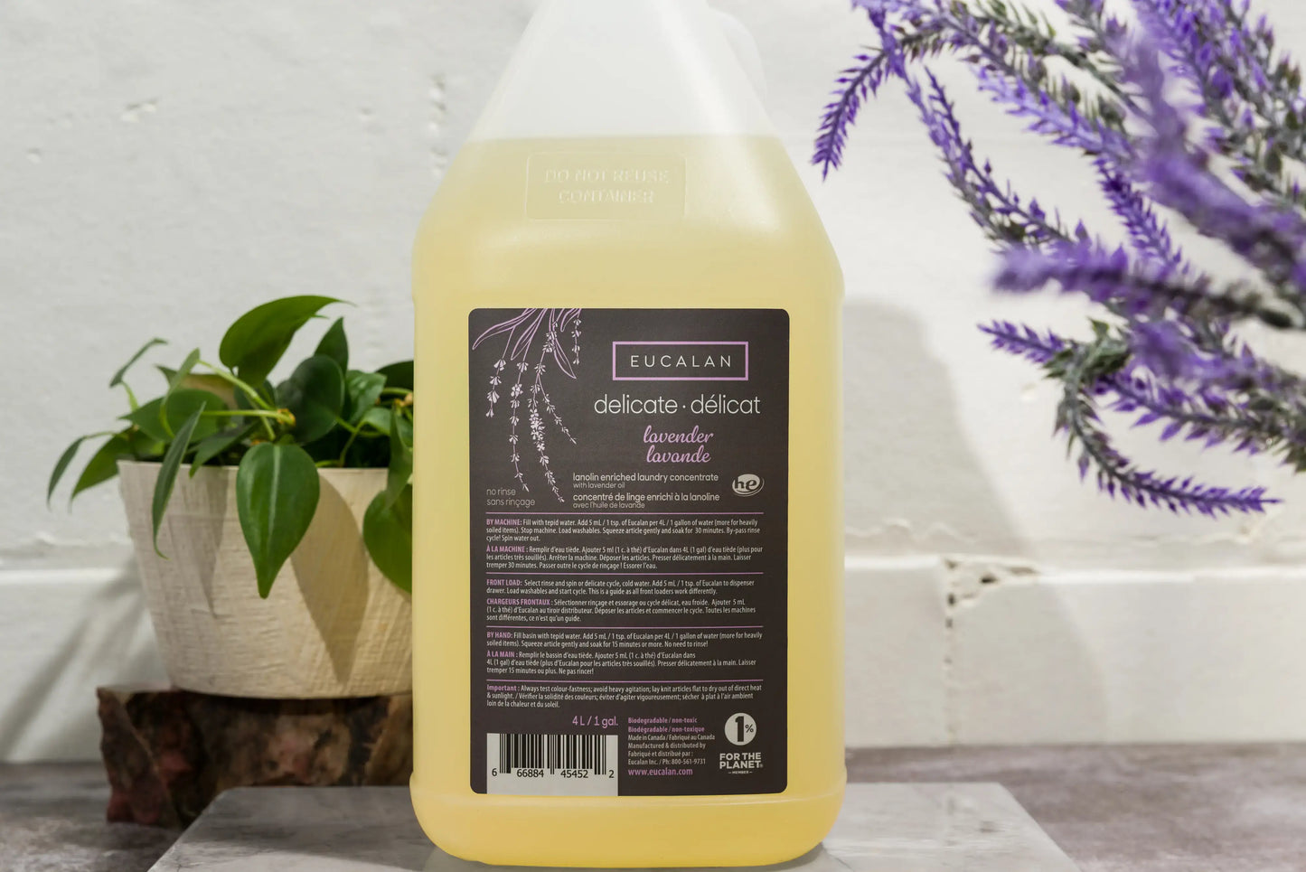 Jug of Delicate Wash Jug | 5 Scents
